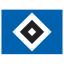 Logo HSV